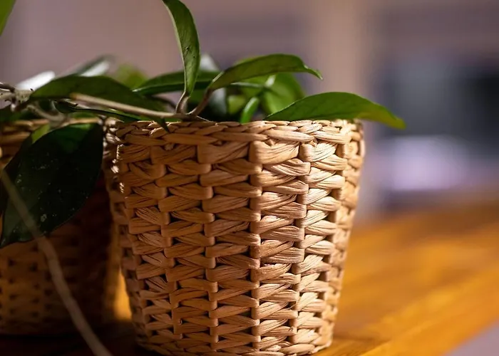 Sunset Boho Center By Uniquerent *